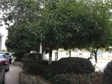 铜锣湾旁 一室一厅 交通便利 配套成熟 性价高