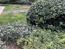 交通便利,近商圈,诚意出售,刚需好房