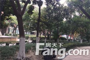 美洲花园城南公馆 3室2厅 南 北