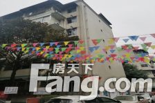 金鹏街176号院 1室1厅 南