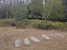 视野好,配套完善,近商圈,南北通透,居家装修,交通便利,双阳台,一梯两户