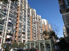 莘庄·富林苑·2室·2厅