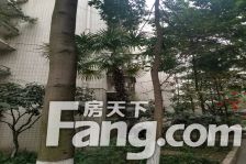 金鹏街176号院 1室1厅 西南