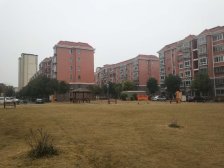 宝顾佳苑2室南朝向310.00万元/套出售