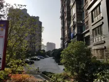 三轨交汇+精装三房毛坯+上海之鱼+