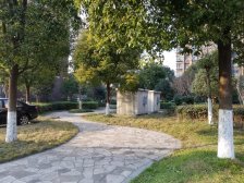 九华丽苑 2室1厅 南