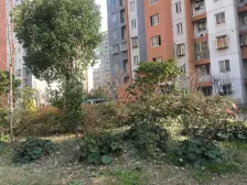 欣乐苑(东苑) 2室1厅 南 北