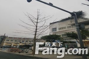 花园二期 1室1厅 北