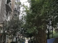 经济适用房 满两年 可以正常交易