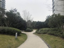 近地铁+满五年+楼距大+下沉式花园