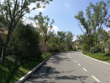 海尔绿城全运村玺园 5室2厅 南 北