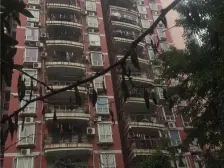 南坪商圈,正规两室一厅,单价低,环境好