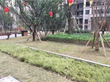 北滨路 融景城朗峰二房100万