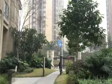 照母山刚需三房,高楼层,视野开阔,无遮挡