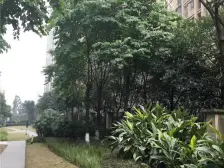 照母山 万科悦峰三期二房