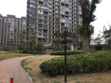 次新花园小区 南北通三房两厅 中间楼层 采光好