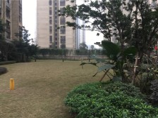 新上,鲤鱼池轻轨旁,次新小区 精装修三房