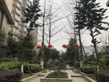 沙河湾 1室0厅 东南