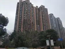 绿地新上三房,带产权车位,百联龙湖天街配套