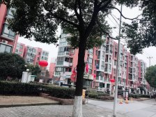 江桥 · 泰宸复兴苑 · 2室 · 1厅