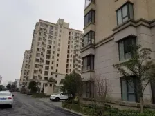 中间楼层+毛坯房装修空间大+有车位