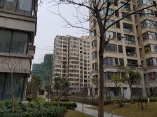 全明户型,采光充足,近商场,近地铁,