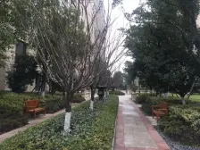 大复式,业主保养很好,房间敞亮,采光良好。
