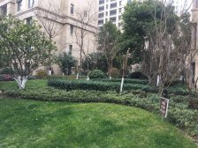 临河景观,板式南北通透户型,居住舒适感超在线