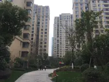 近地铁,精装,中间楼层 产权清晰,店长力推