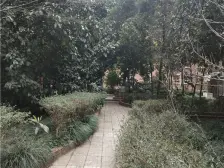 房子朝中庭安静 少数有露台的户型