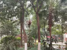 小龙坎 嘉福苑三房178万