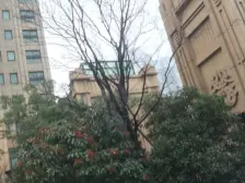 新上清水毛坯+近地铁+业主诚意出售