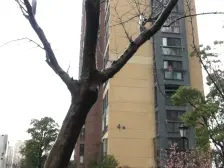 前排无遮挡,自住装修紧三年,业主诚意出
