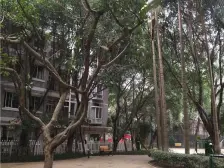 沙坪坝轻轨站大户型业主诚心出售