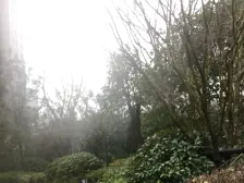 大名城名郡3室南朝向289.00万元/套出售