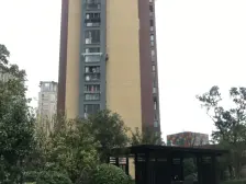 路劲上海派3室西朝向255.00万元/套出售