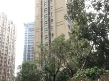 电梯房,主卧朝南,品质小区,环境优美,居家装修