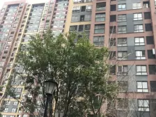 精装三房,看房提前预约
