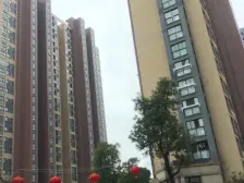 新上好房,楼栋位置前面无遮挡,间距大,刚需三房
