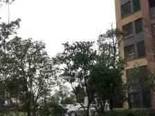 电梯房,二梯四户,大两房,品质小区,精装修,诚意出售,精装好房