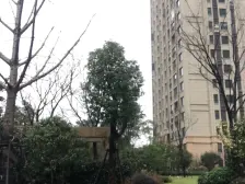 大名城名郡3室南朝向299.00万元/套出售