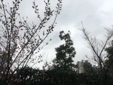 安亭 · 路劲上海派Ⅱ盛世景庭 · 2室 · 2厅