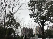 安亭·路劲上海派君悦华庭·3室·2厅