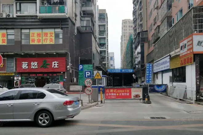 阳光第五季