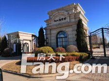 东打头,一楼带院,院子150平