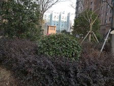 繁荣华庭2室南朝向666.00万元/套出售