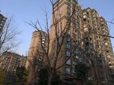 周浦·繁荣华庭·1室·2厅