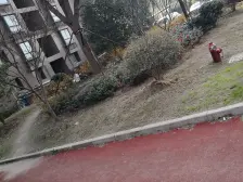 张江南 繁荣路地铁口,双澧溪 户型正 飞机三朝南