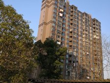 18号线地铁口、双澧溪、高区景观楼层、视野好采光佳