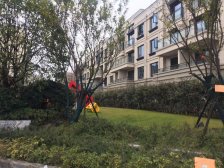 复式下叠附地下2层、多轨交交汇、沿河低密度、有车位